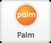 palm